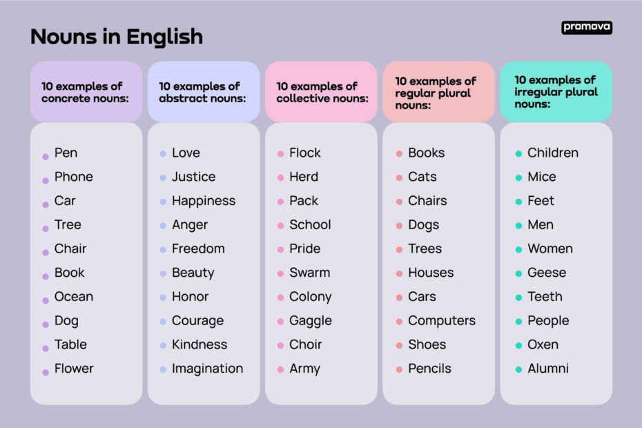 Noun In English Nouns Examples U0026 Types Promova Promova Blog