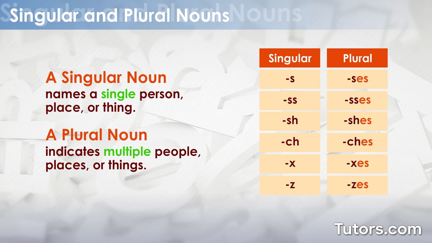 Nouns Definition Types U0026 Examples