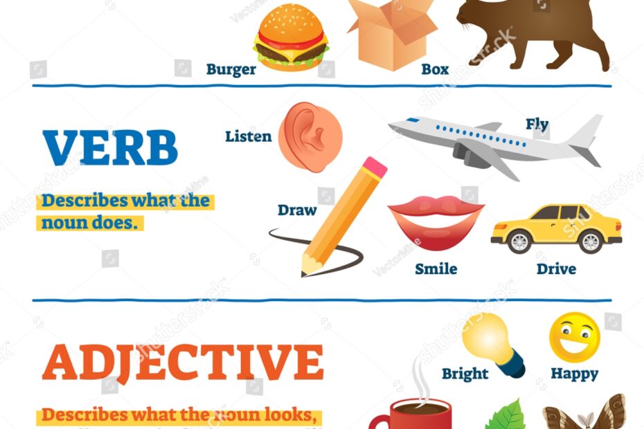 Nouns Verbs Adjectives School Study Guide Stock Vector Royalty