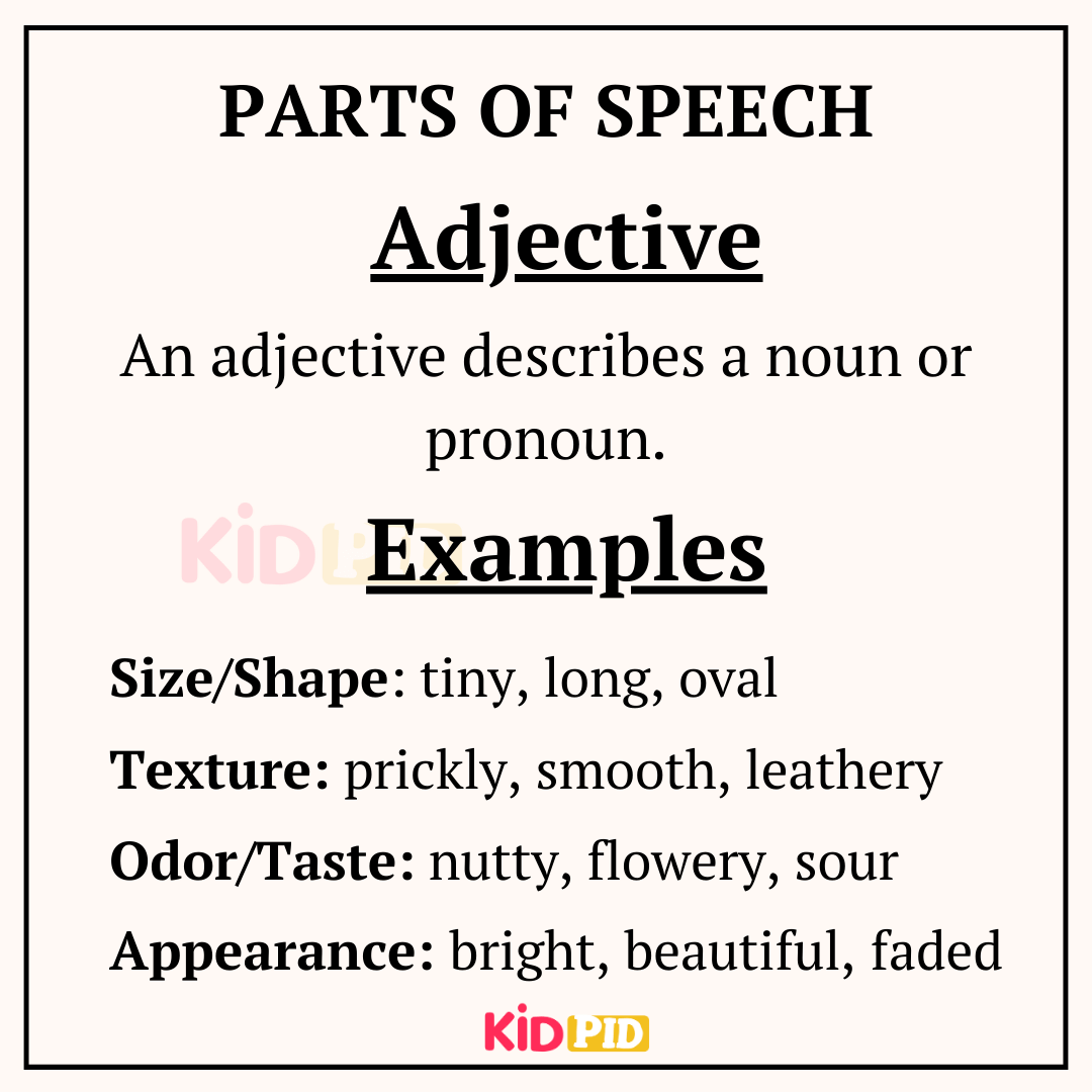 Parts Of Speech Examples And Rules Kidpid