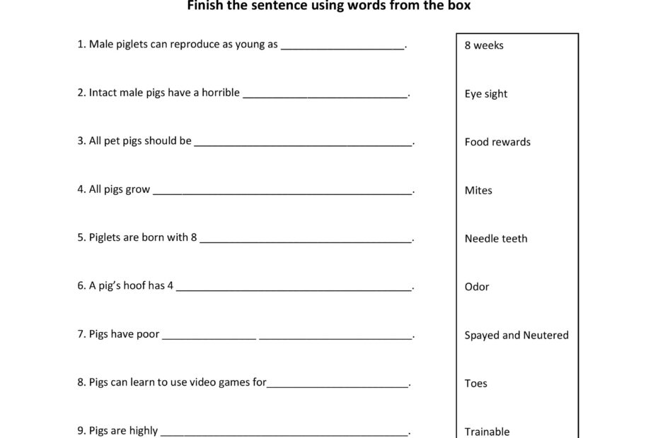Pig Trivia Fill In The Blank 2 American Mini Pig Online Store