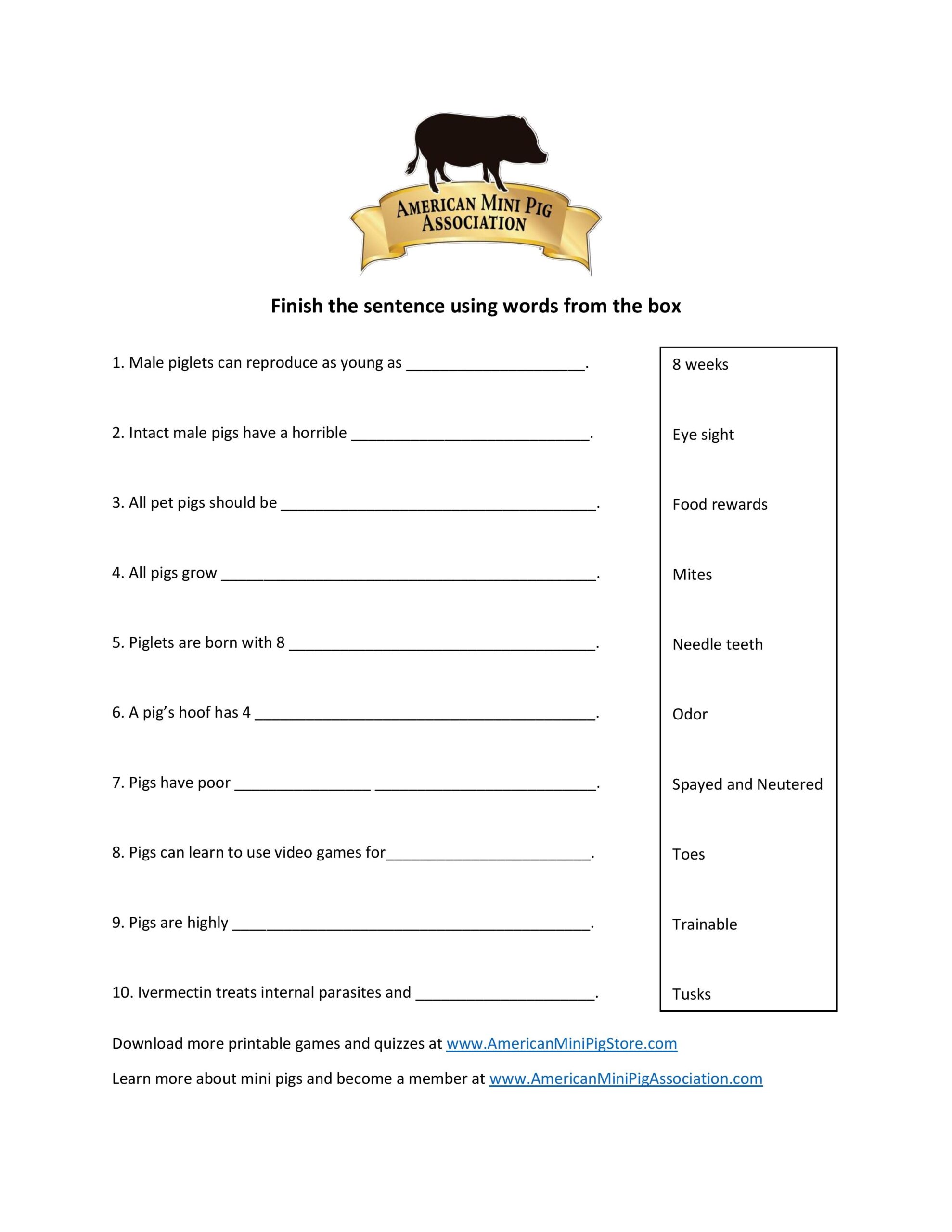 Pig Trivia Fill In The Blank 2 American Mini Pig Online Store