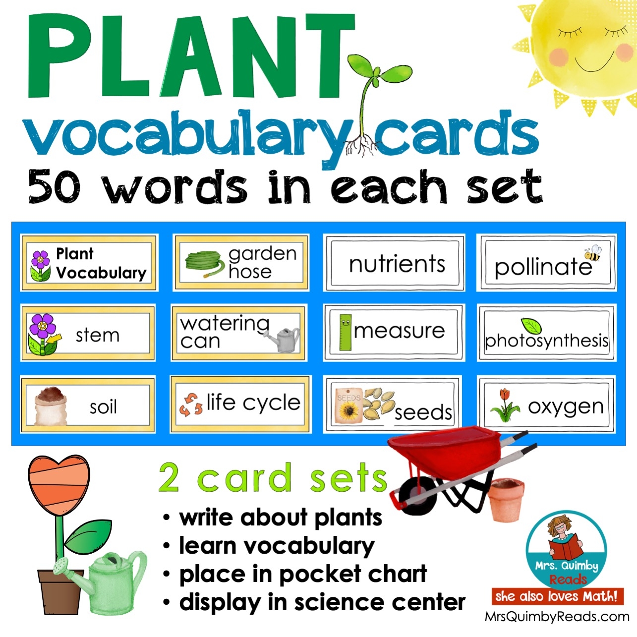 vocabulary cards with pictures
