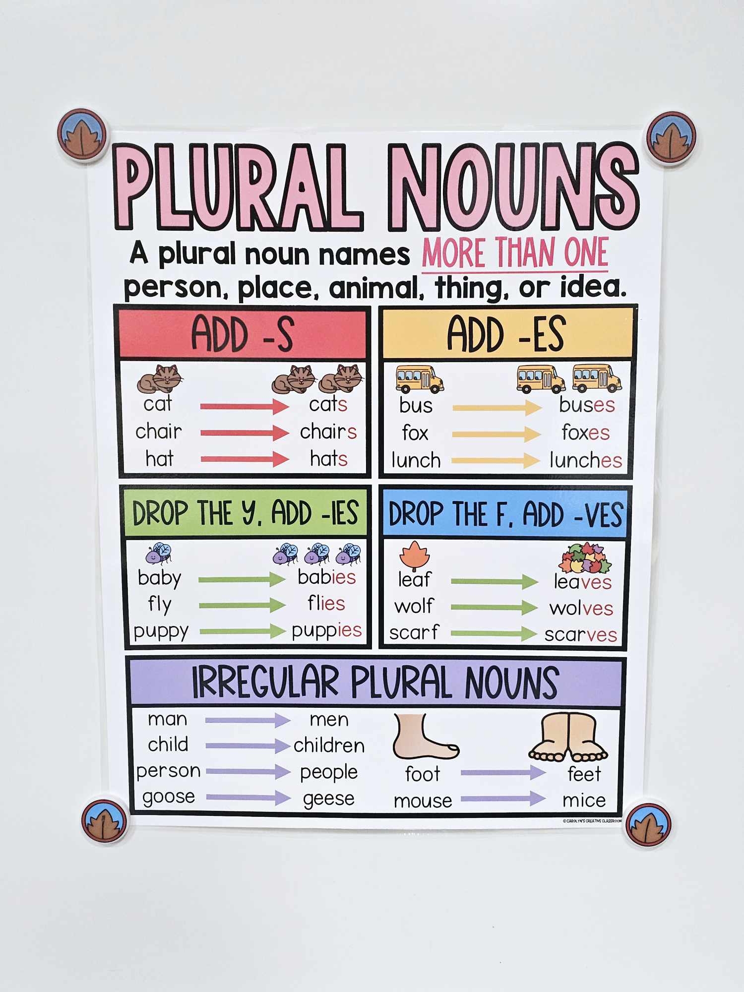 plural of the noun fly