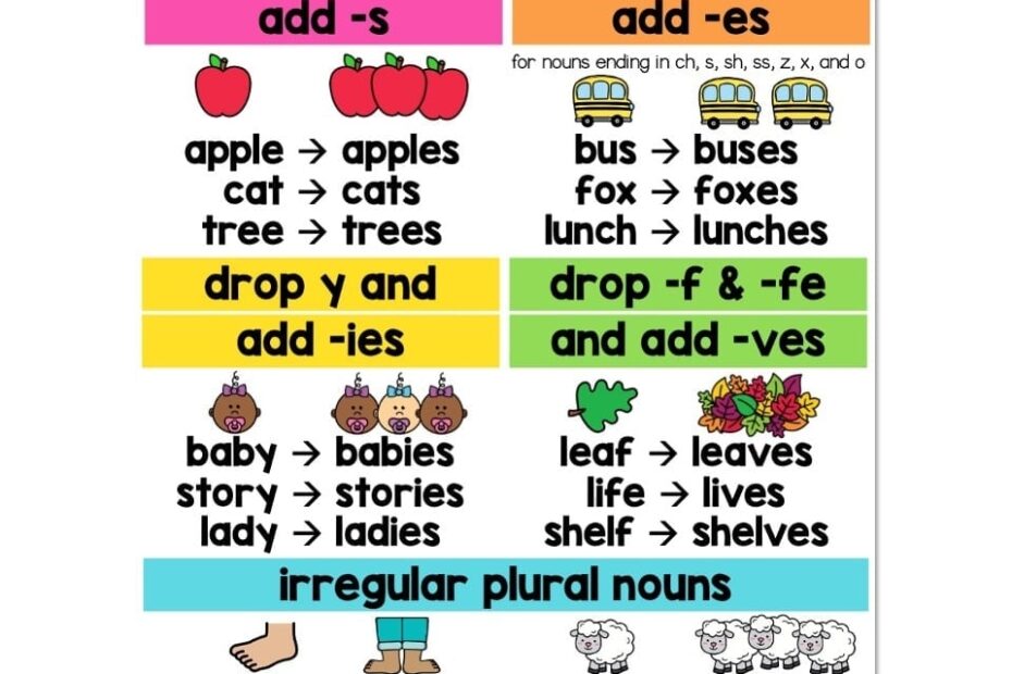 Plural Nouns Anchor Chart Lucky Little Learners