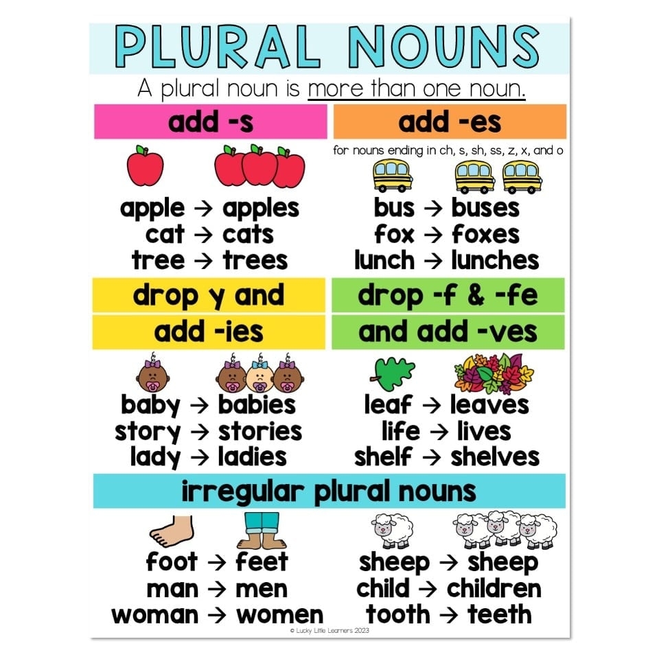 Plural Nouns Anchor Chart Lucky Little Learners