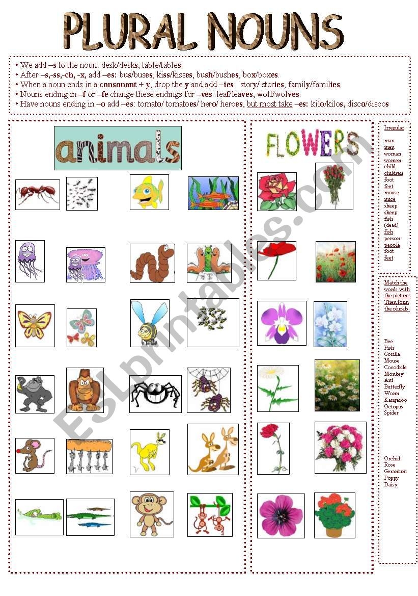 Plural Nouns animals And Flowers ESL Worksheet By Anareb