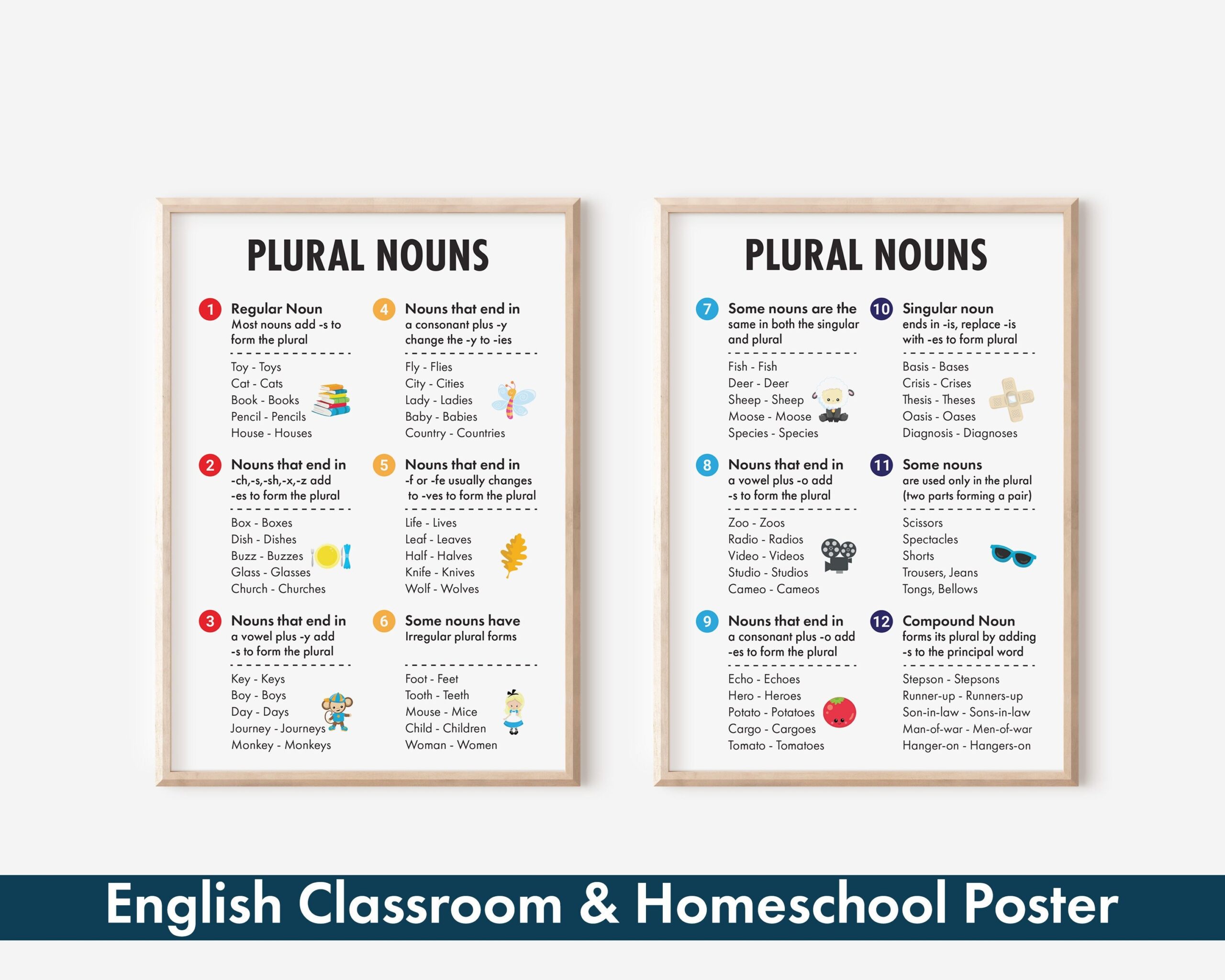 plural nouns rules and examples