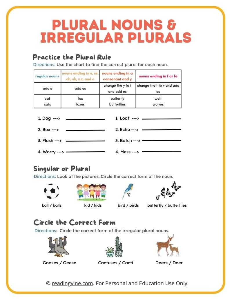 plural nouns worksheet grade 4
