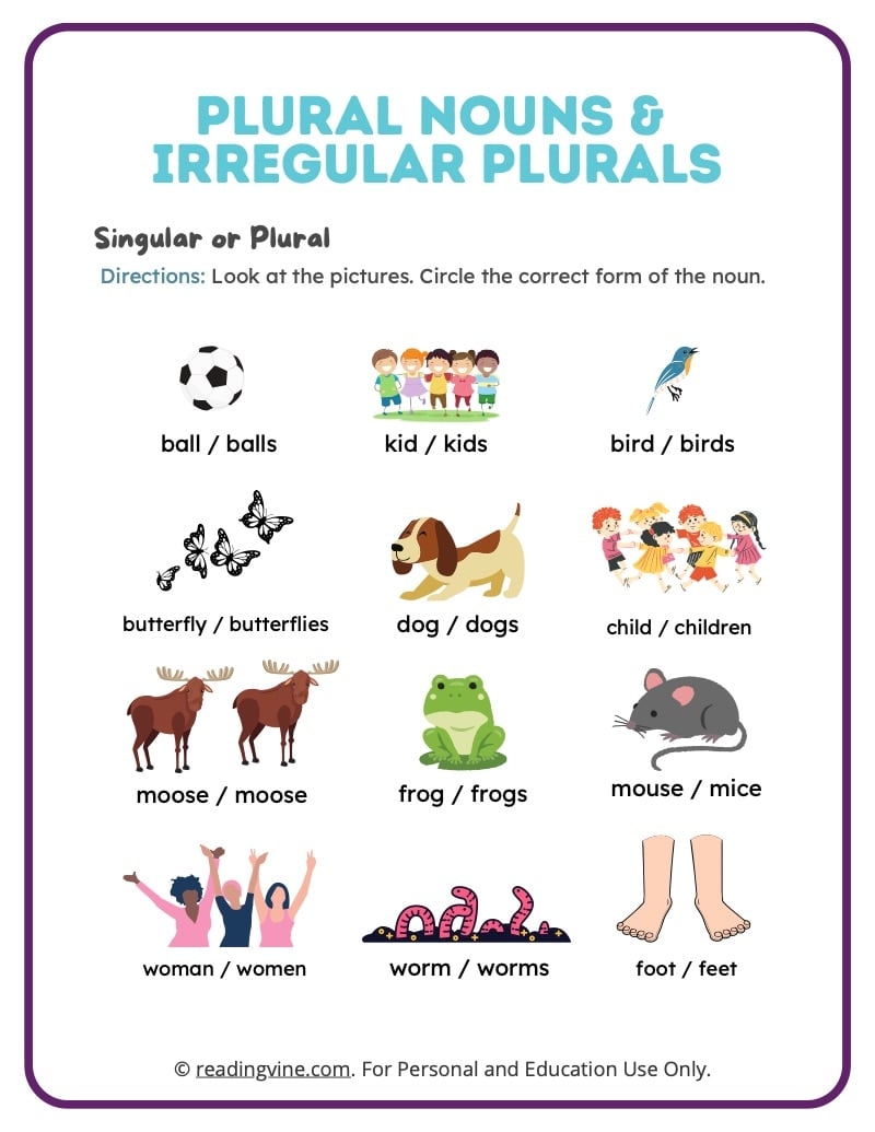 animal plural nouns