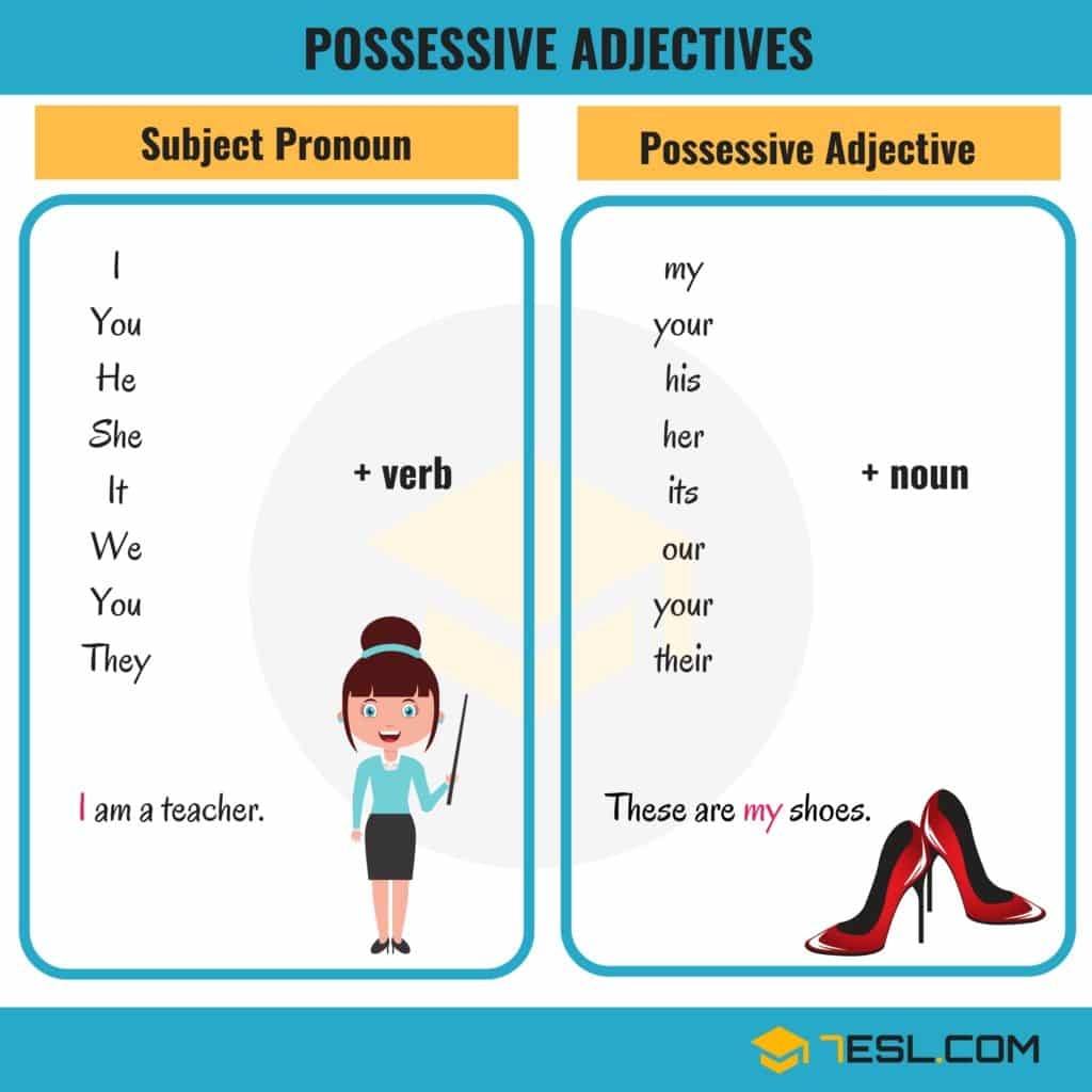 Possessive Adjectives In English 7ESL