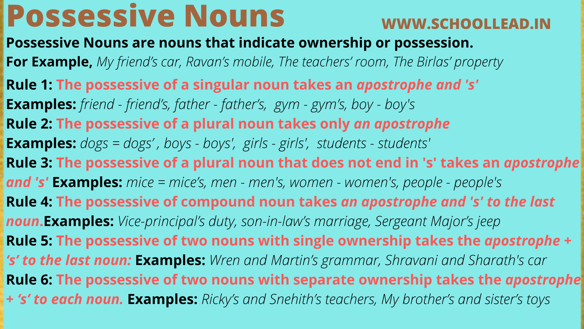 Possessive Nouns School Lead
