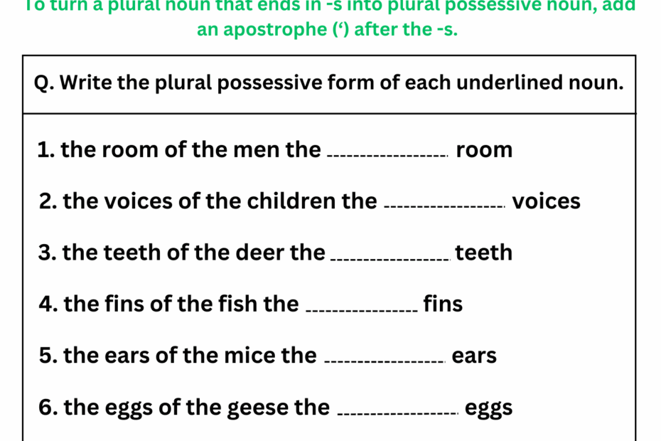 Possessive Nouns Worksheets With Answers Digital And Printable
