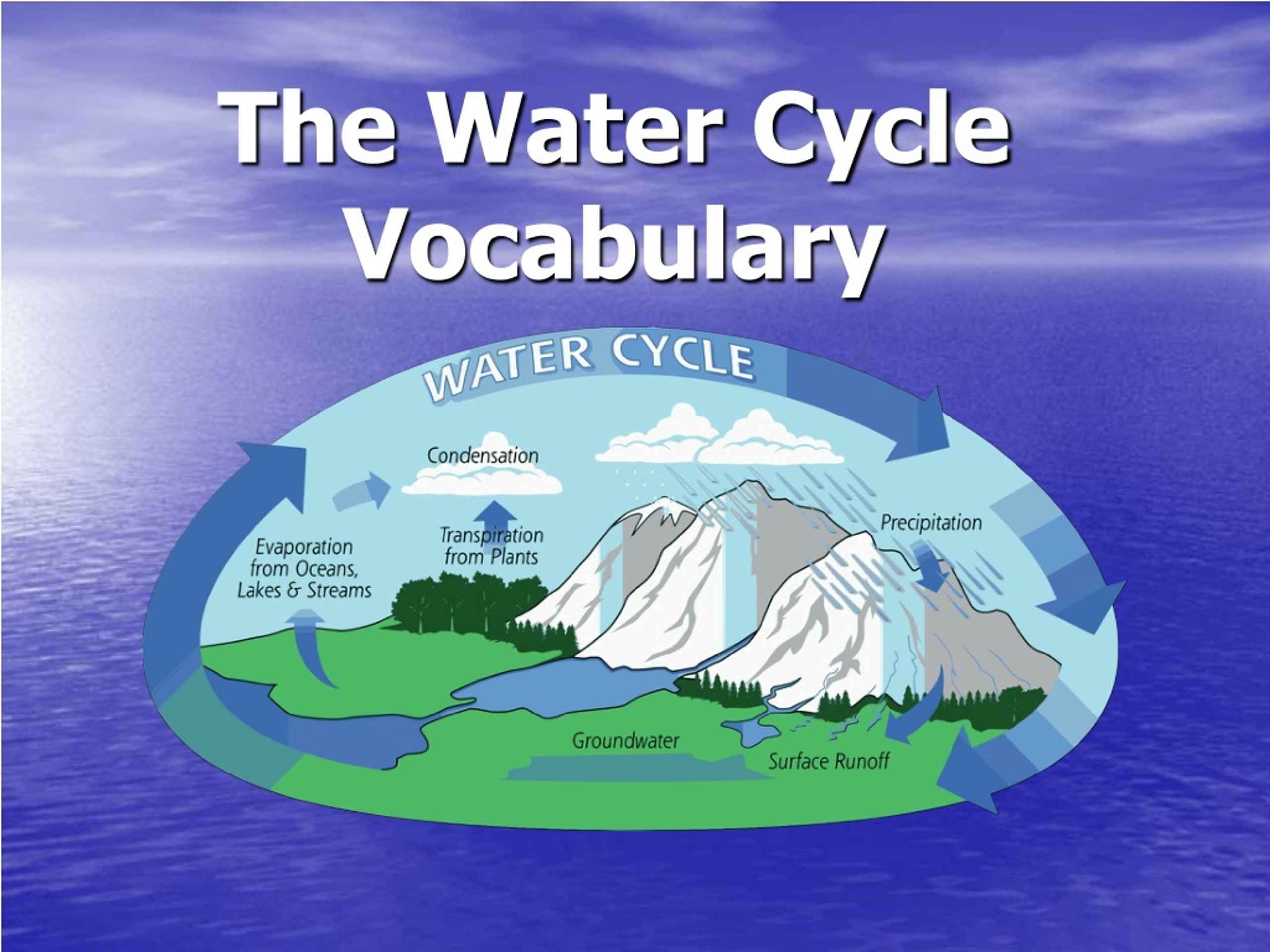 water cycle vocabulary
