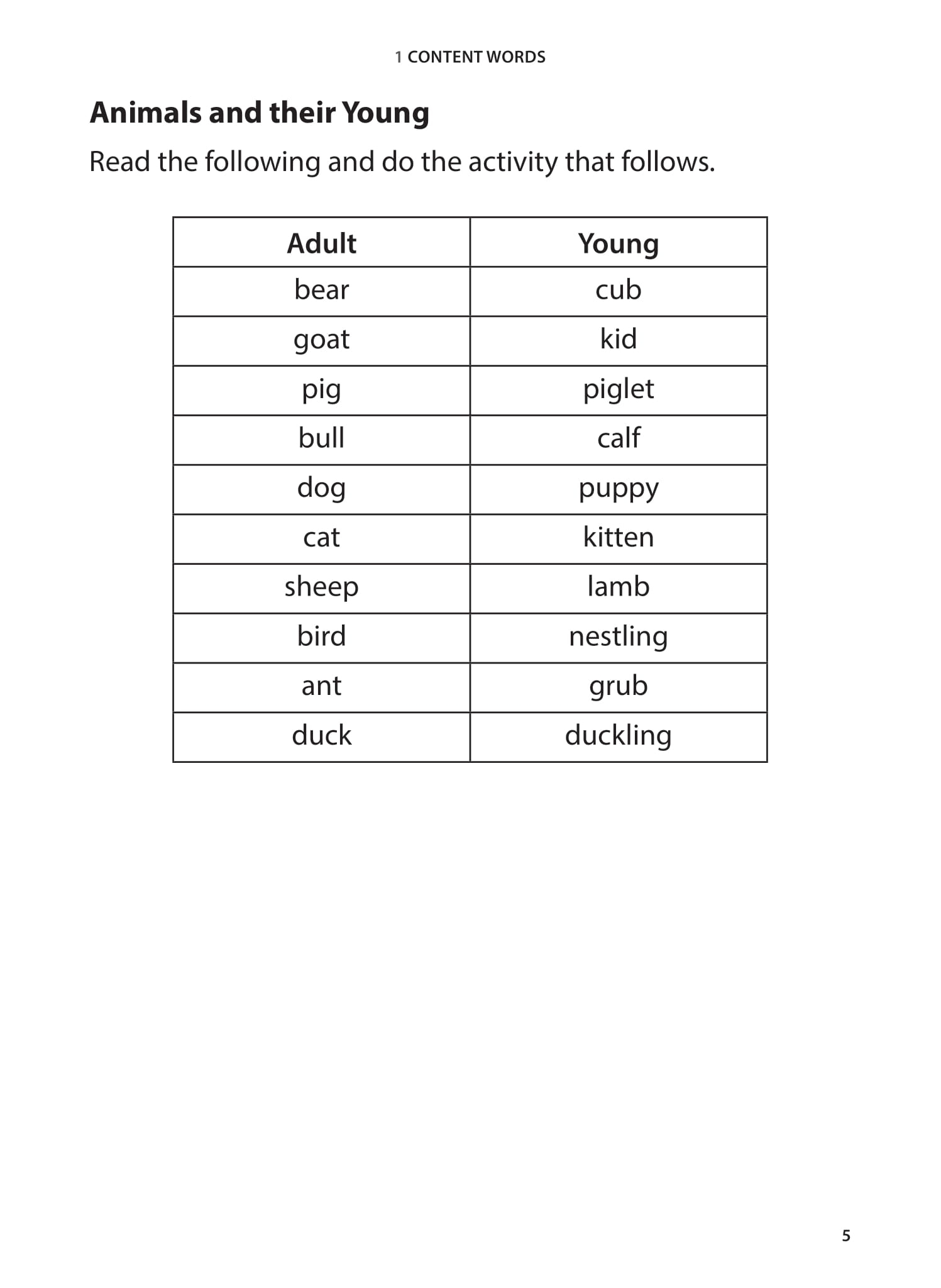 Primary 1 English Vocabulary Practice CPD Singapore Education Services Pte Ltd