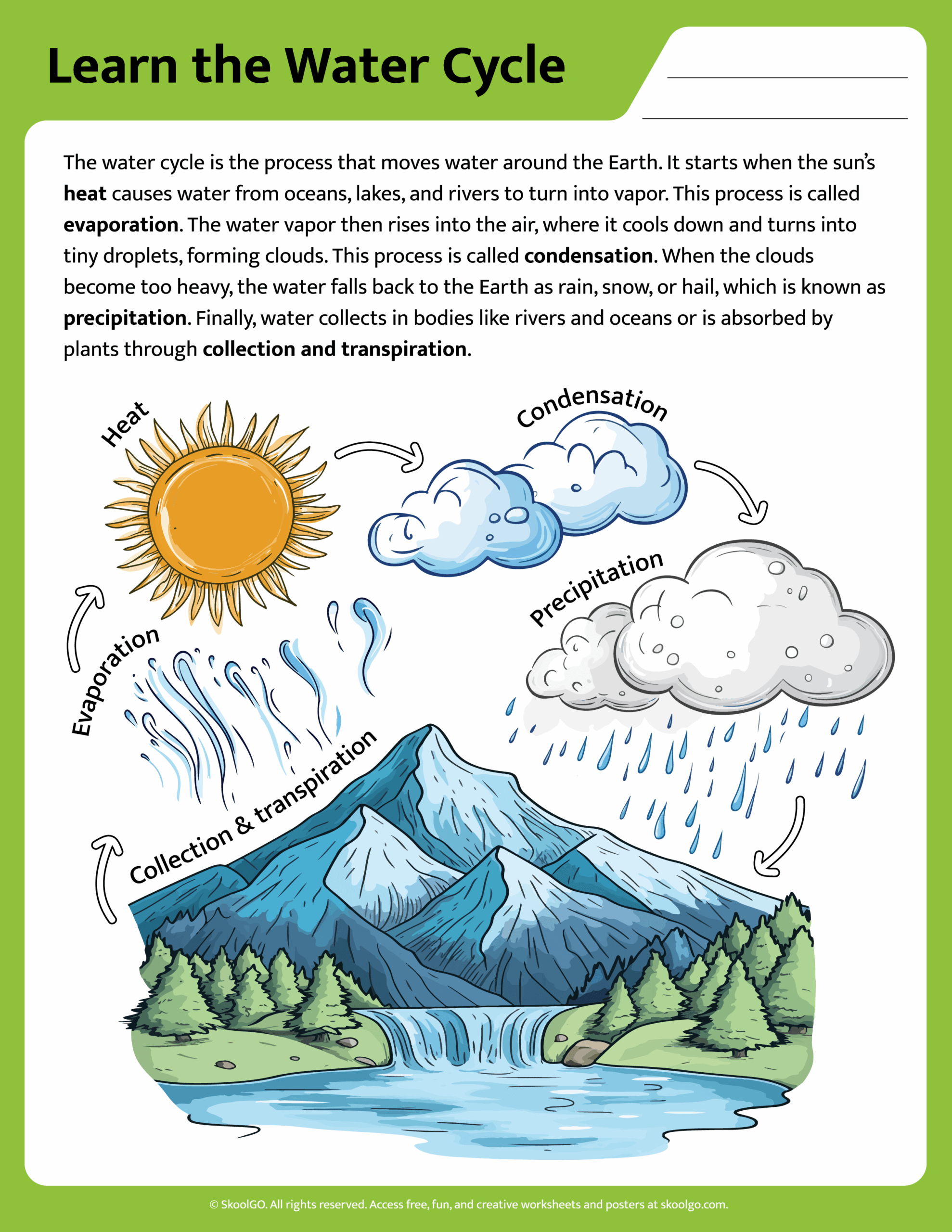 free water cycle vocabulary pdf