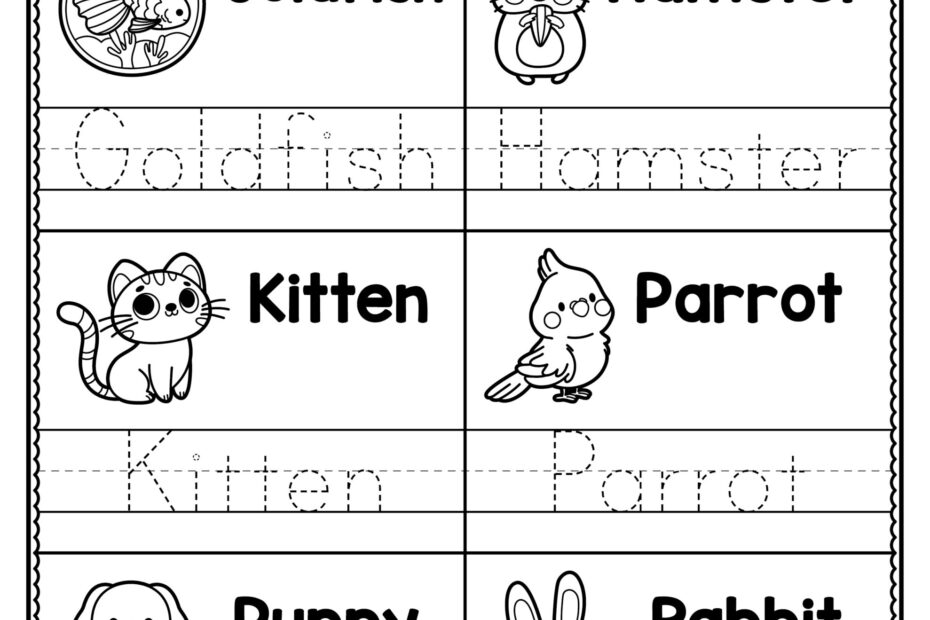 Read U0026 Trace Worksheets