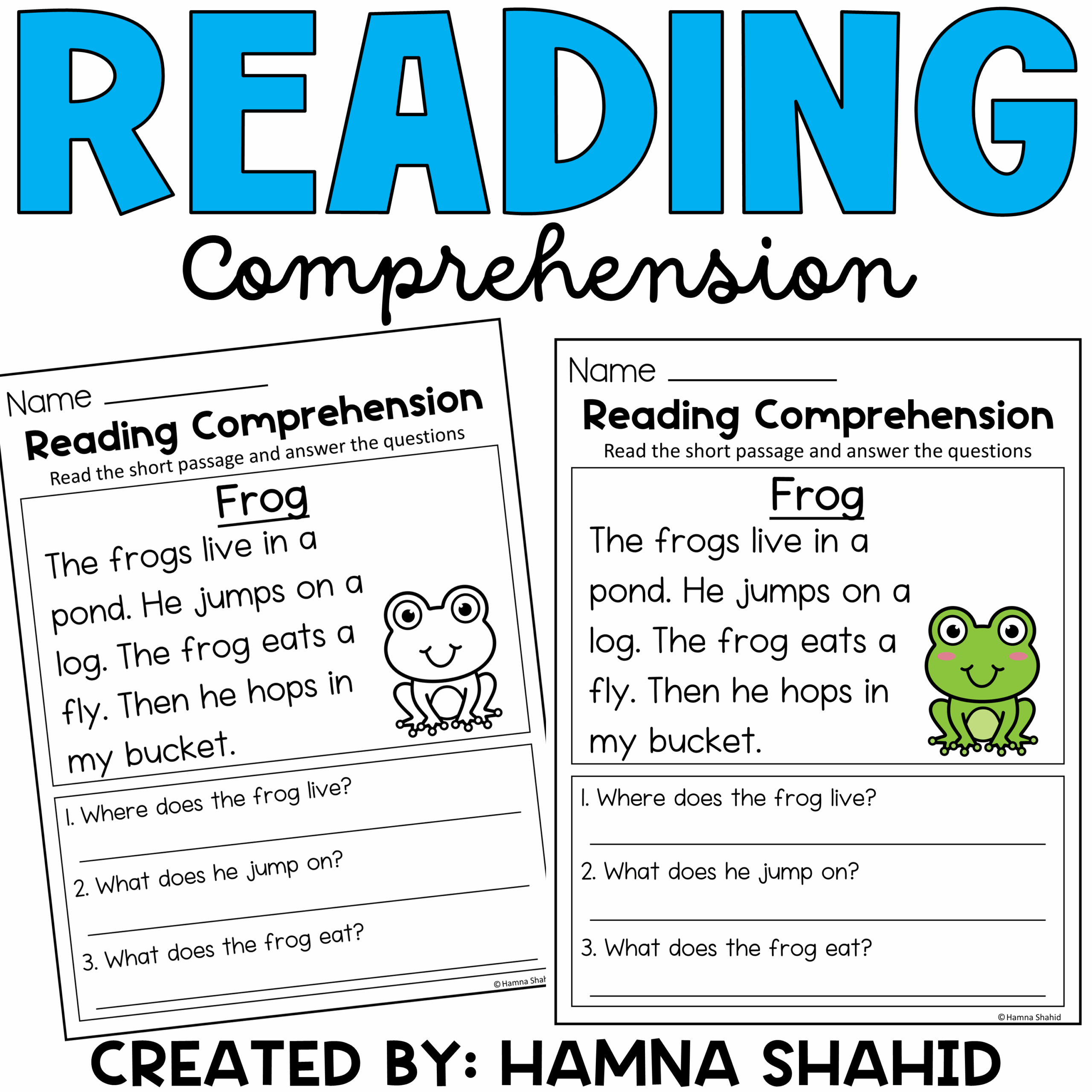 Reading Comprehension Passages And Questions Made By Teachers