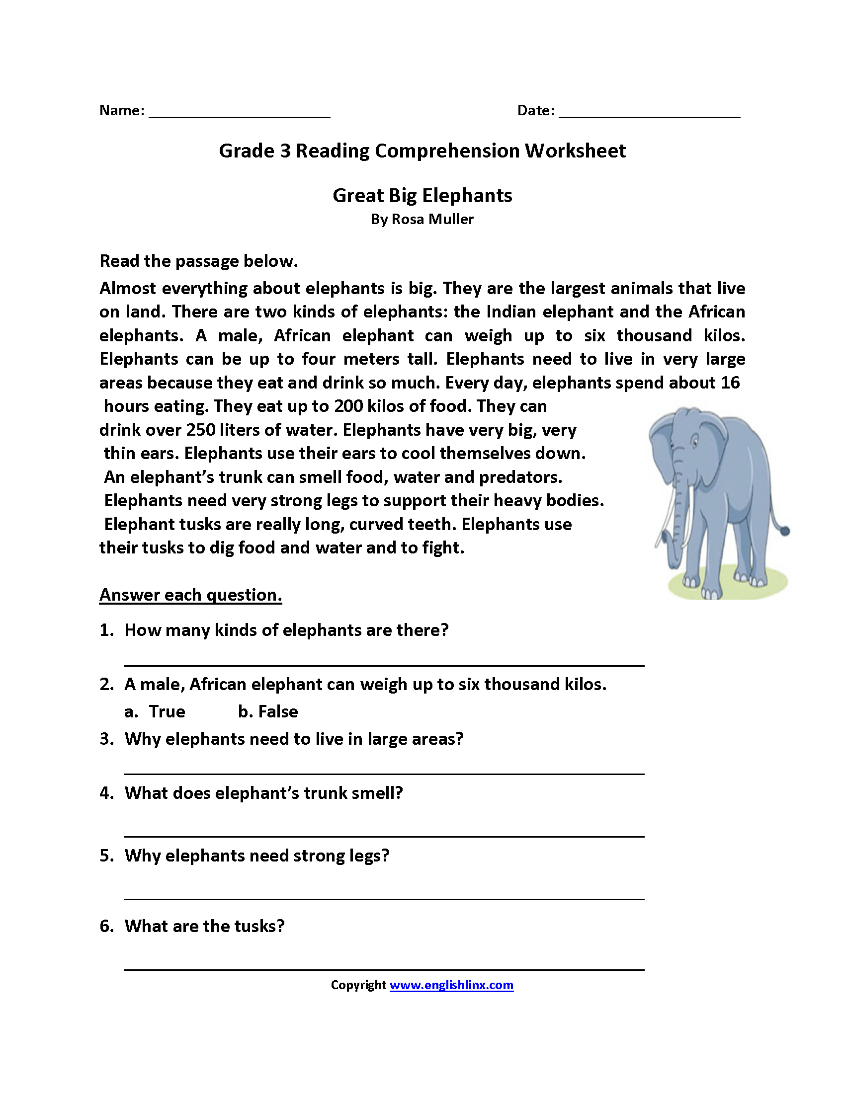 reading comprehension grade 3 pdf