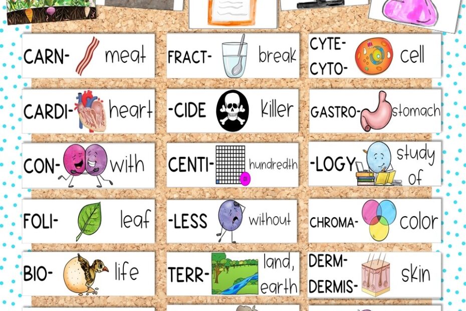 Science Of Reading For Upper Grades Teaching Strategies