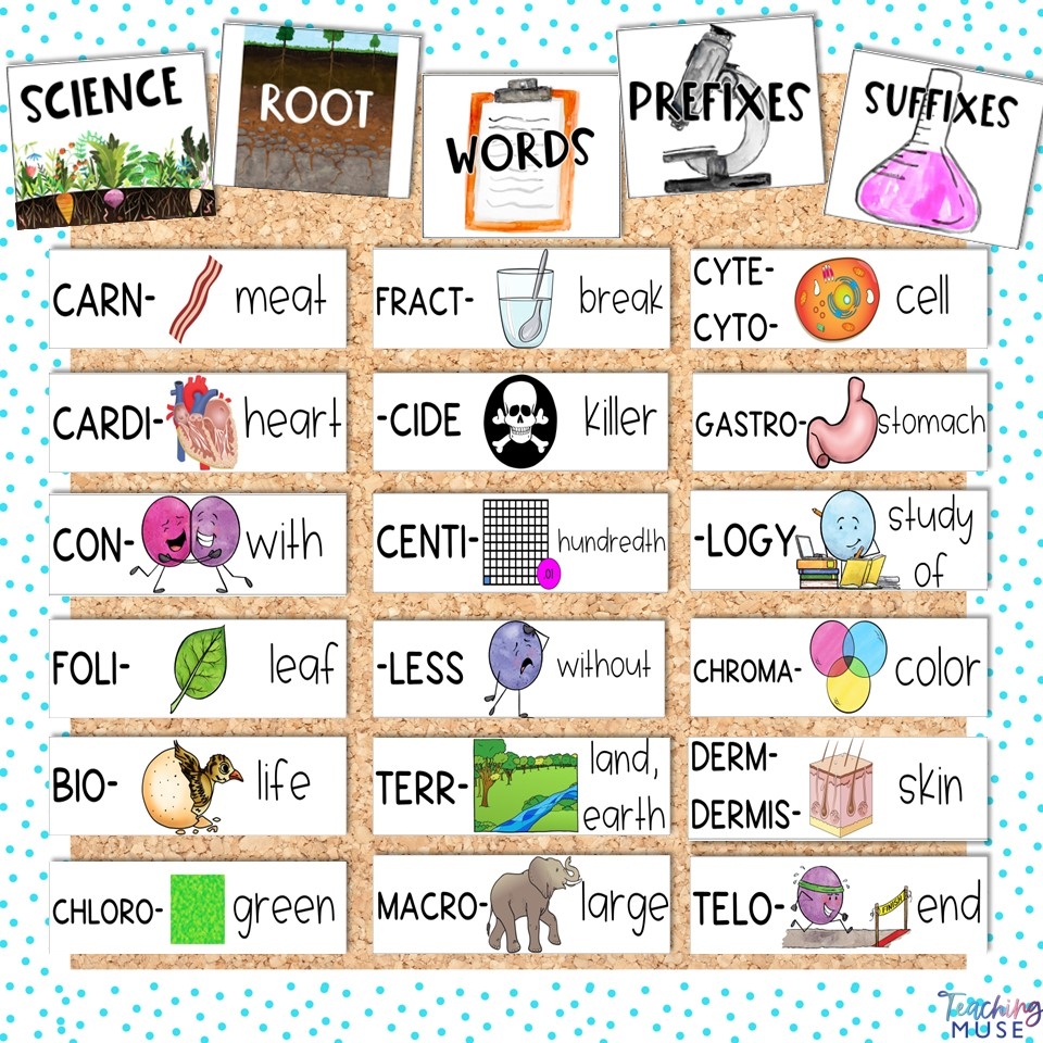 Science Of Reading For Upper Grades Teaching Strategies
