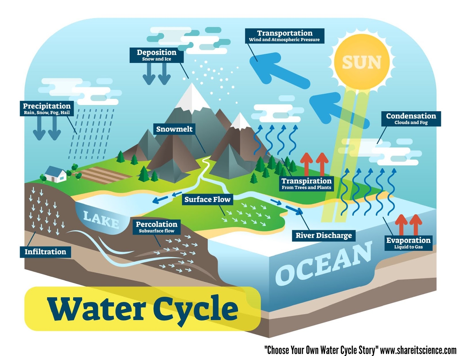 water cycle vocabulary pdf