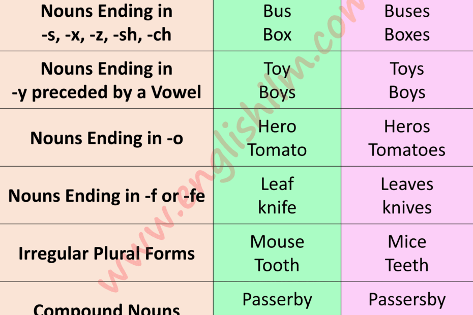 Singular And Plural Nouns Definition Usage And Examples Englishilm