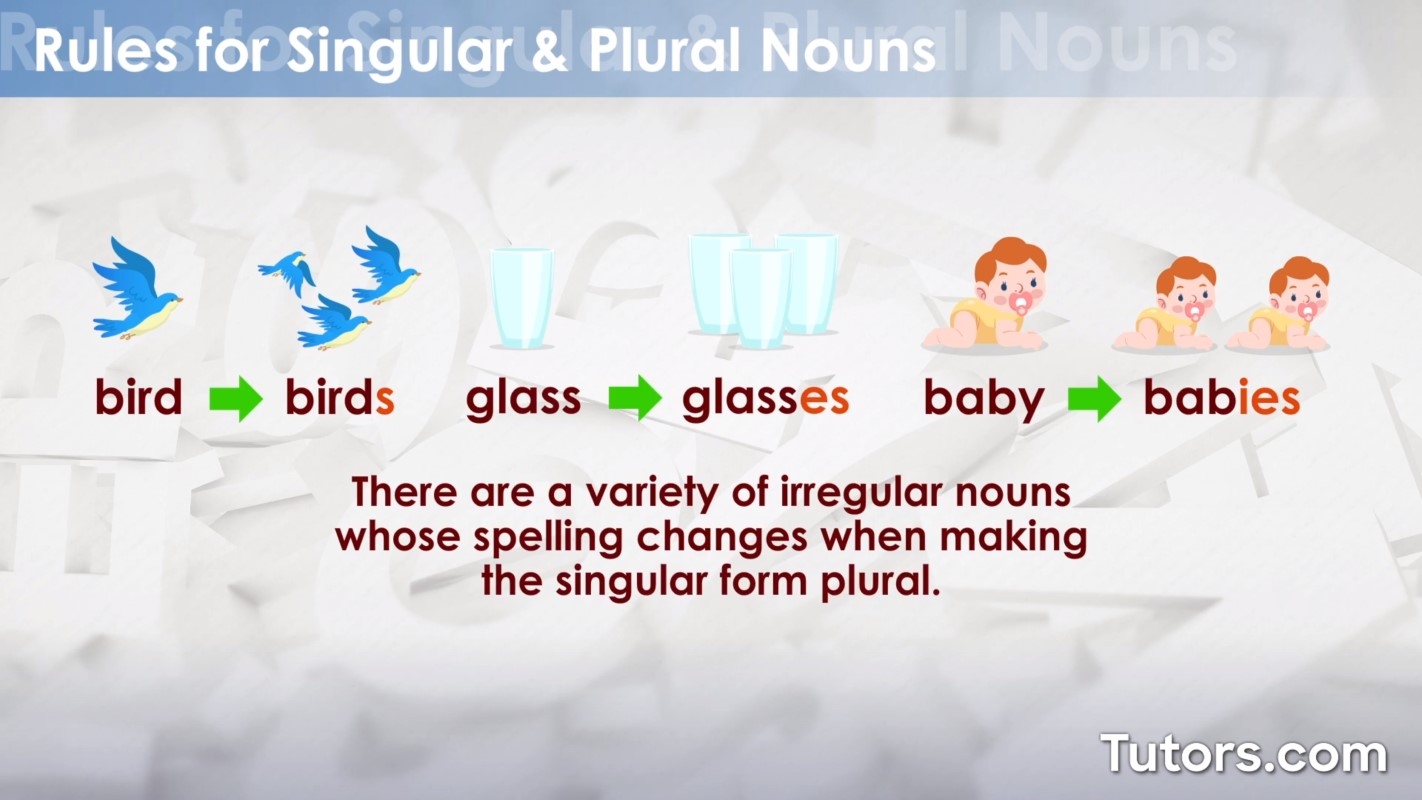 plural noun spelling