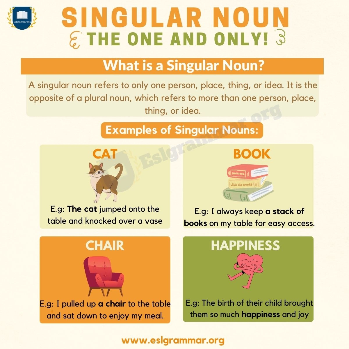 Singular Noun Definition Types Usage And Useful Examples ESL Grammar