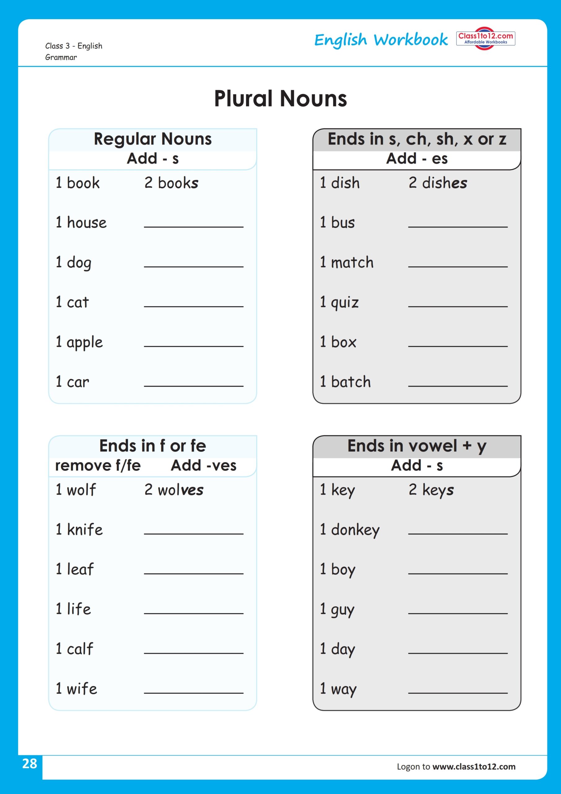 Singular U0026 Plural Exercises For Class 3 NCERT Class1to12 Worksheets Library