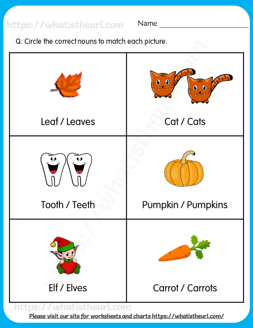 Singular U0026 Plural Nouns Worksheet For Grade 1 Your Home Teacher