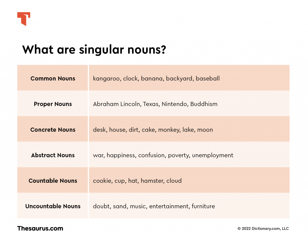 Singular Vs Plural Nouns Thesaurus