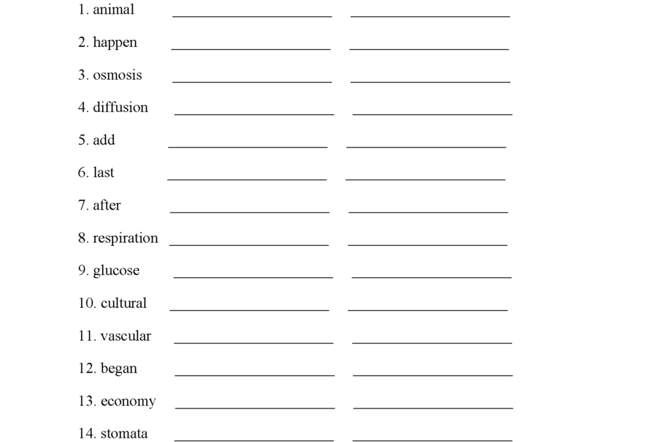 Spelling Worksheets Fifth Grade Spelling Worksheets