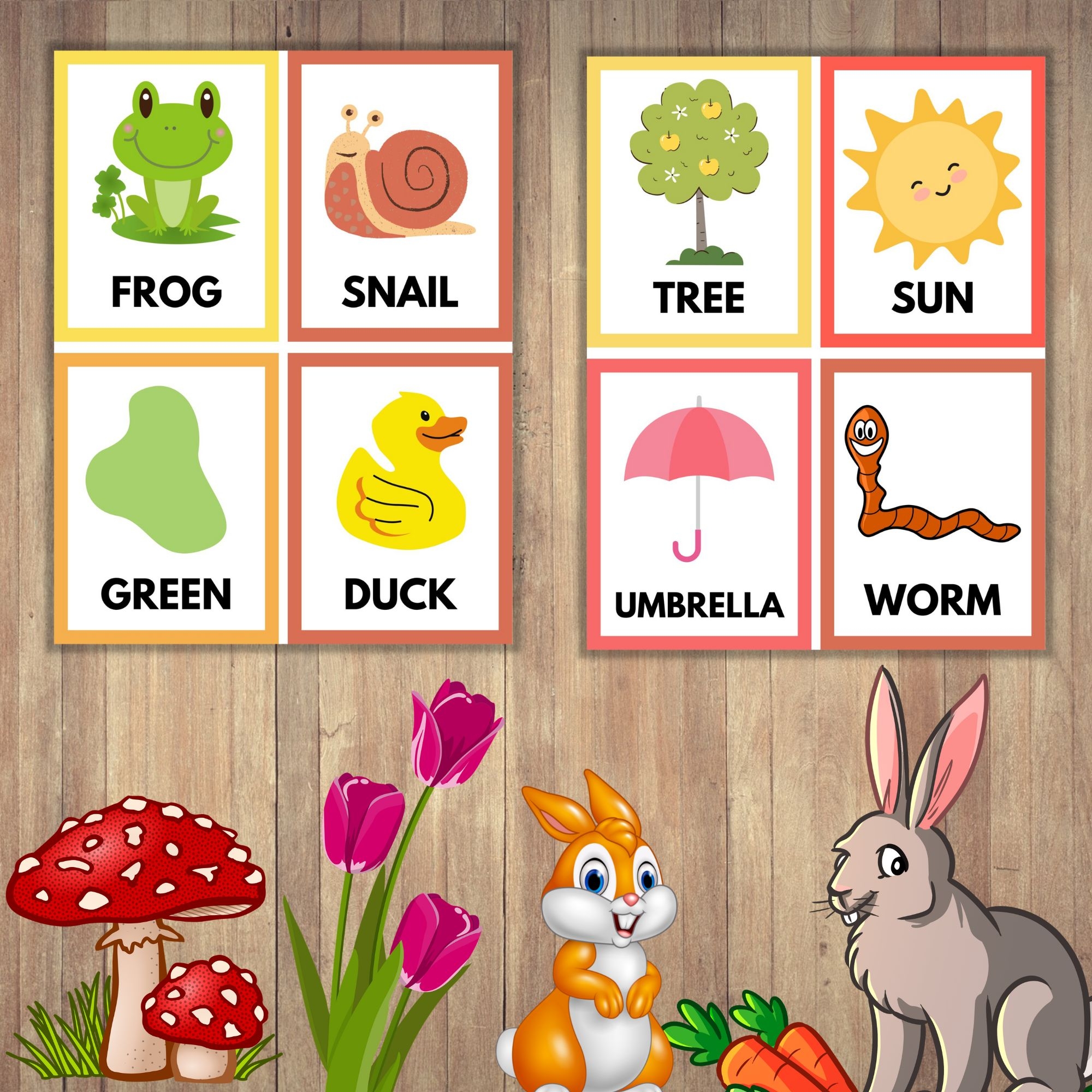 Spring Flashcards Picture Vocabulary Cards Spring Vocabulary 