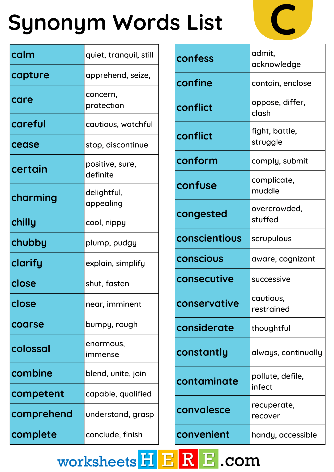 vocabulary synonym