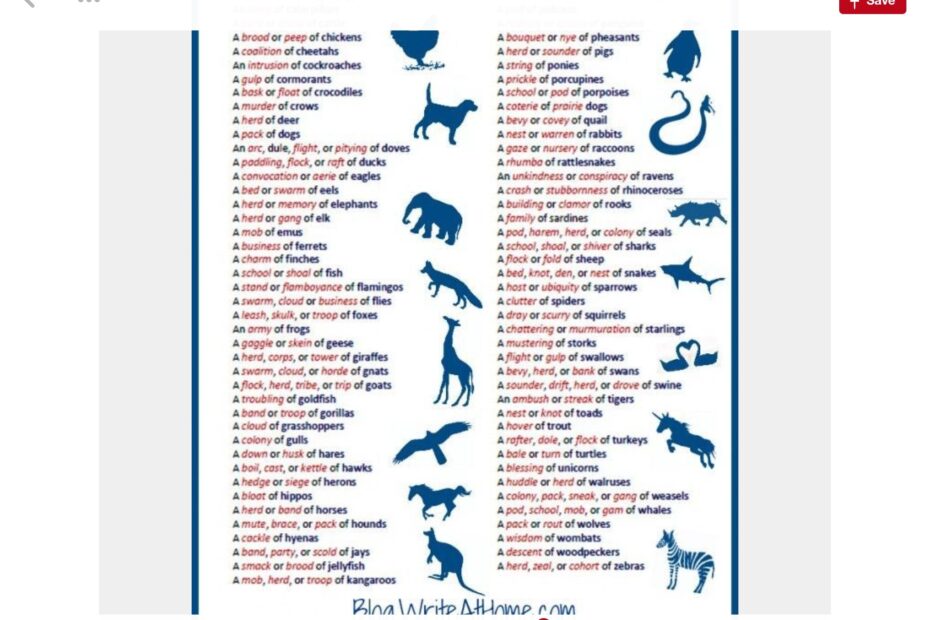 Terms Of Venery Are Any Of These Collective Nouns Hoaxes