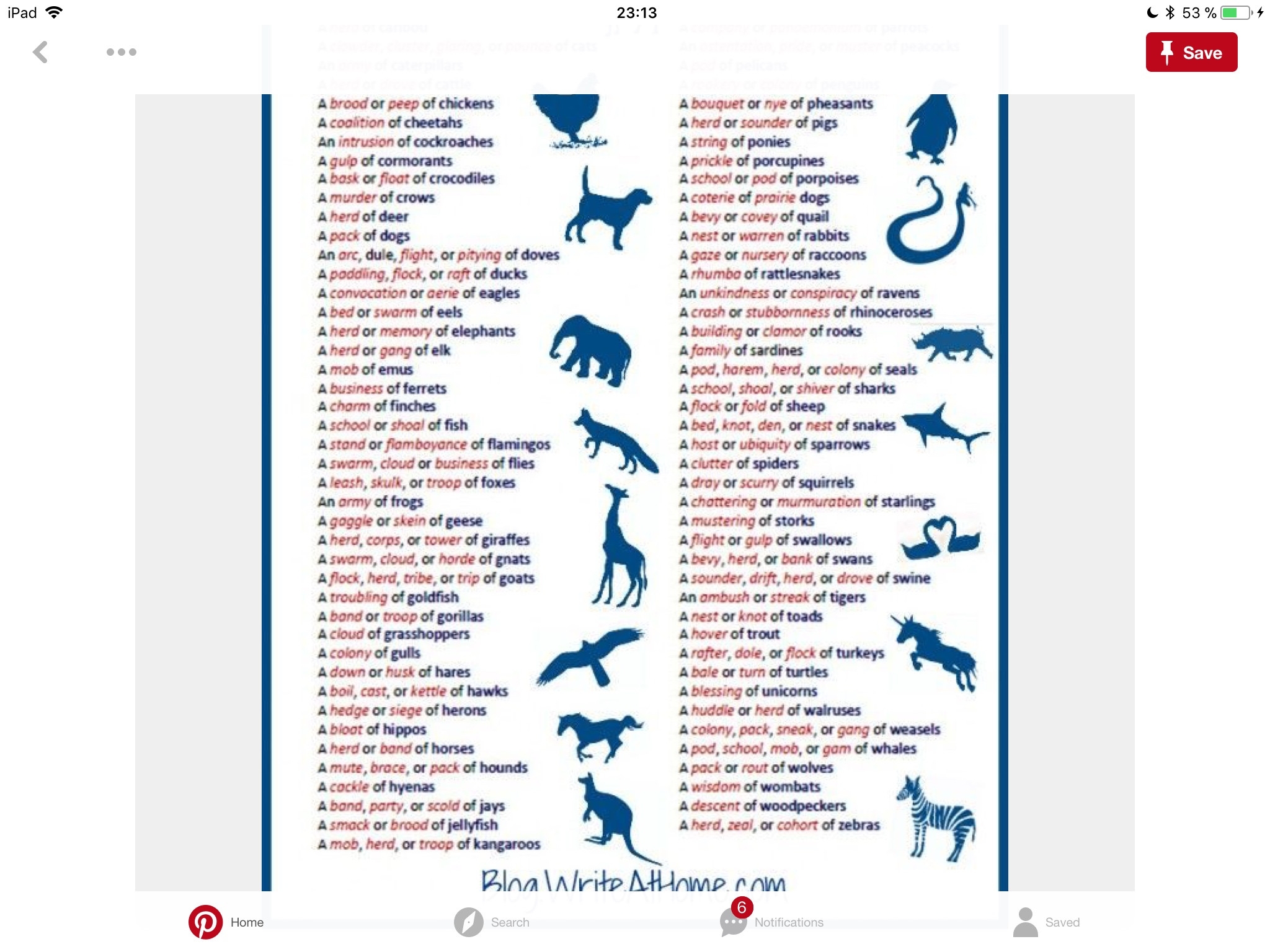 Terms Of Venery Are Any Of These Collective Nouns Hoaxes 