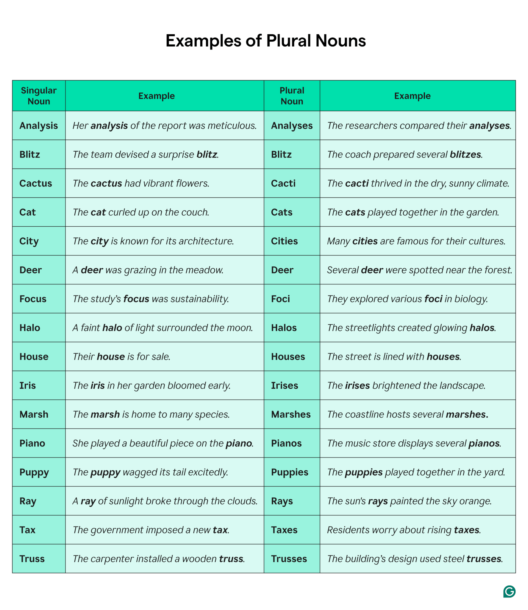 The 4 Types Of Conditional Sentences Grammarly