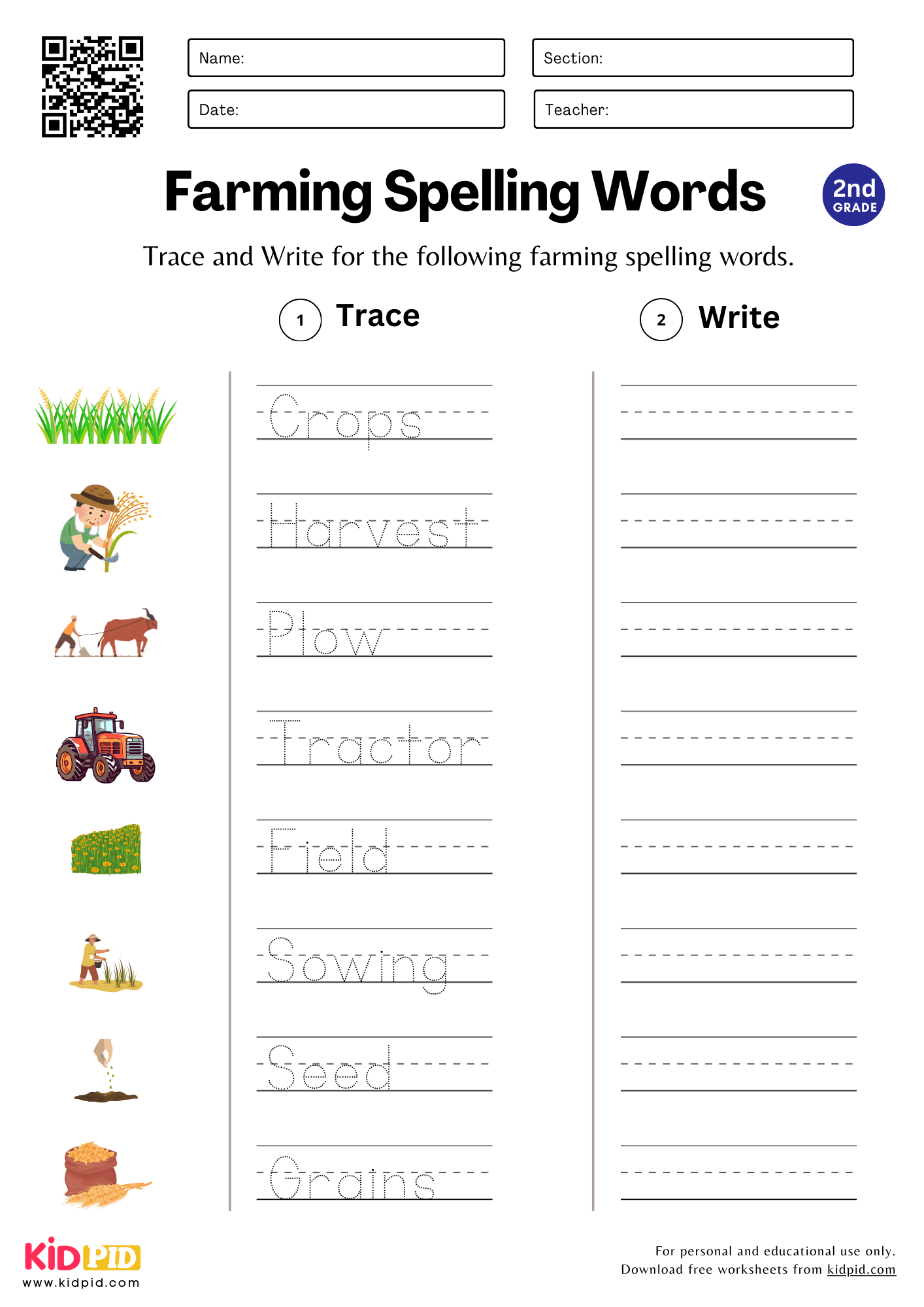 Trace U0026 Write Spelling Words Worksheet For Grade 2 Kidpid