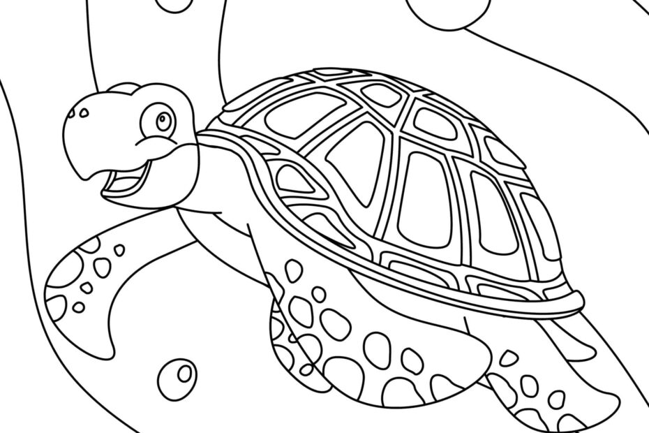 Turtle Coloring Pages Free Printable Sheets For Kids Skip To