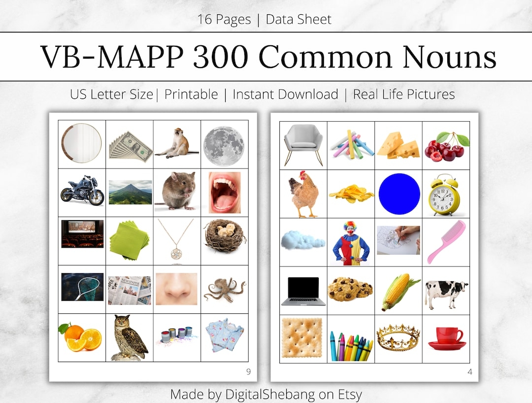 VB MAPP 300 Common Nouns ABA Materials U0026 Flashcards Noun 