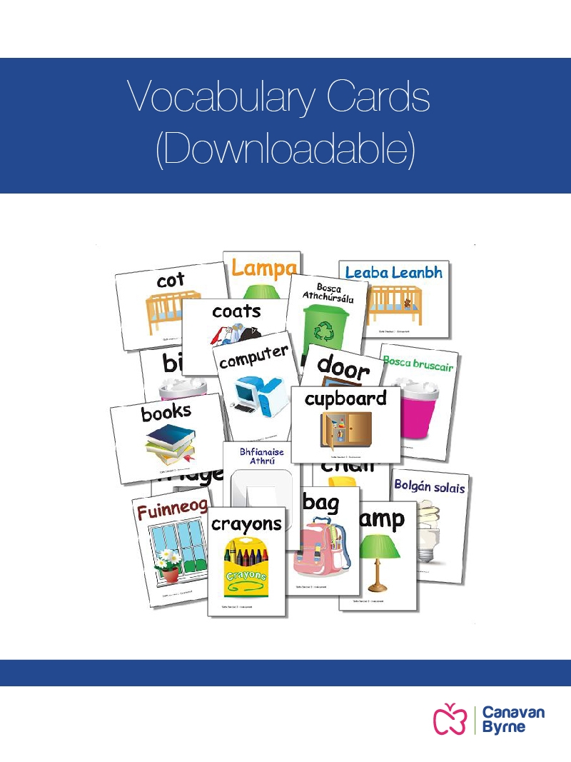Vocabulary Cards Downloadable 