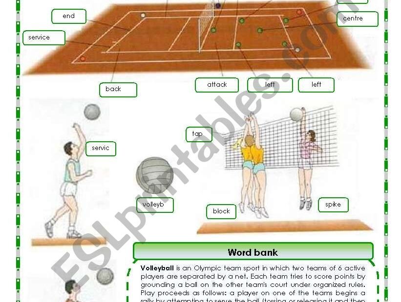 Volleyball Pictionary ESL Worksheet By Oppilif