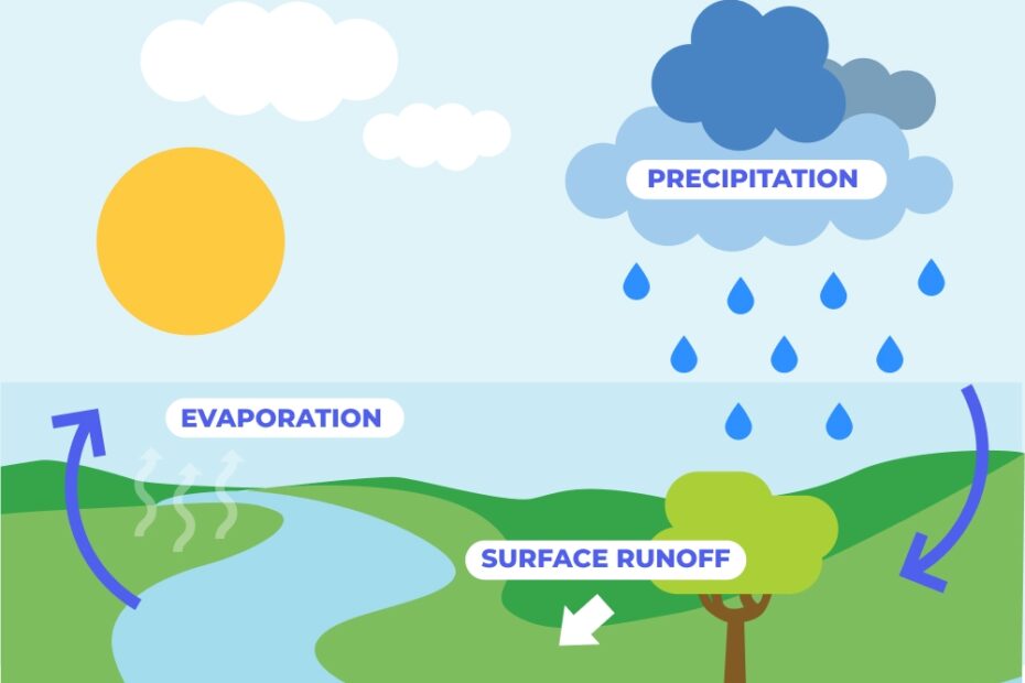 Want To Know More About The Water Cycle Keep Reading GoStudent