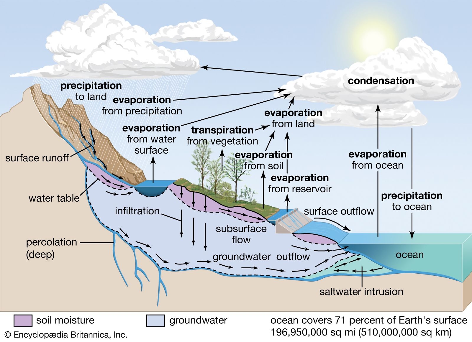 Water Cycle Definition Steps Diagram U0026 Facts Britannica