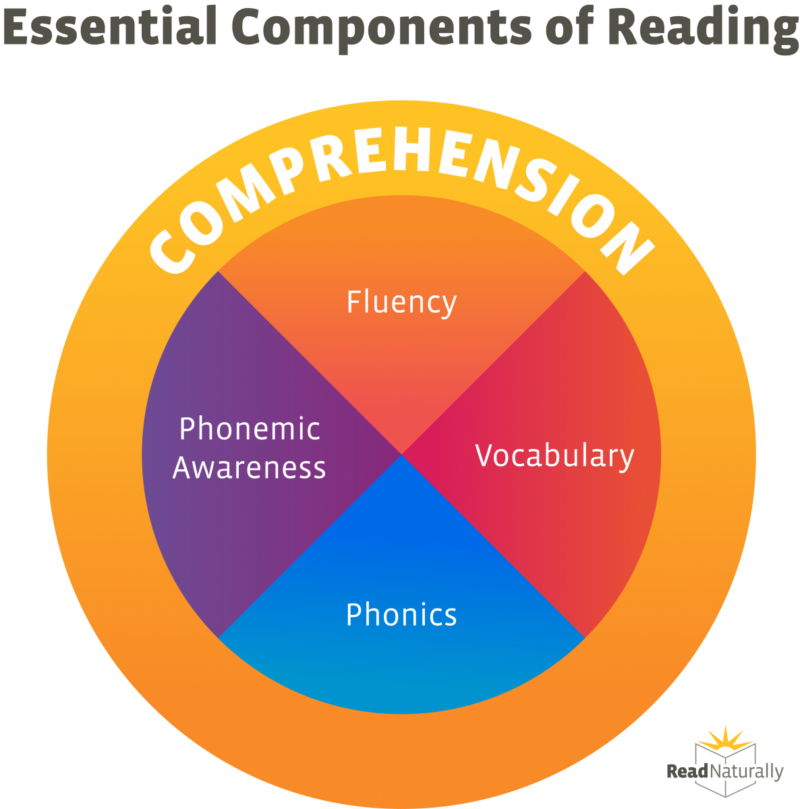 What Is Reading Comprehension 