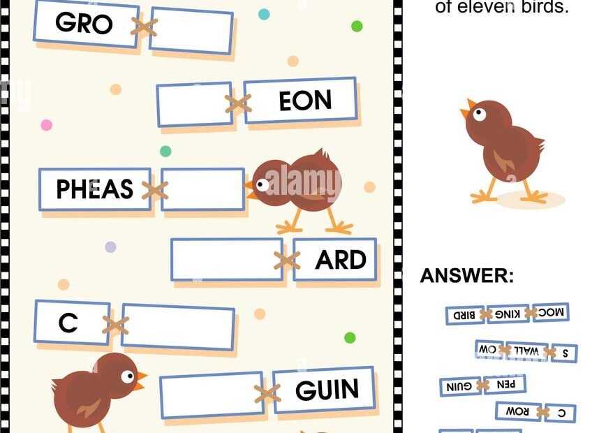 Word Puzzle Or Word Game Fill In The Blanks With The Words Provided To Make The Names Of Various Birds Answer Included Stock Vector Image U0026 Art Alamy
